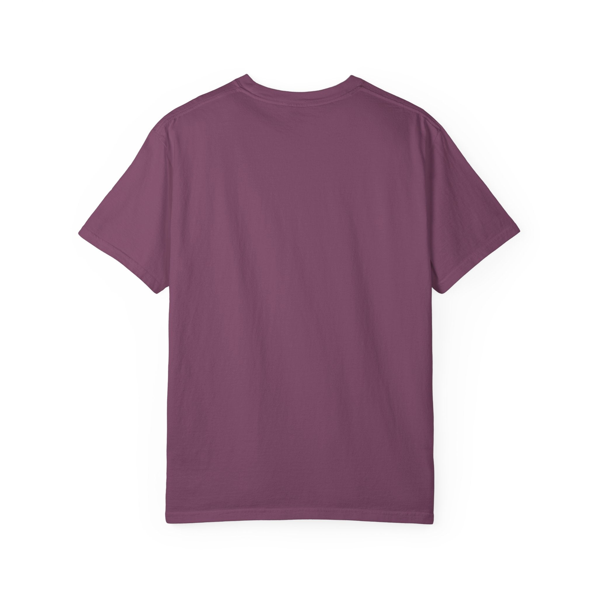 Soft Life Enthusiast, Hard Life Participant Tee